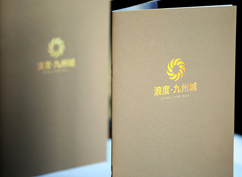 浪度九州城招商画册